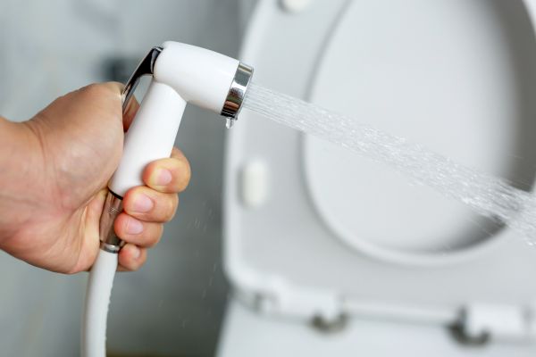 Cost of Bidet Installation in Clearwater