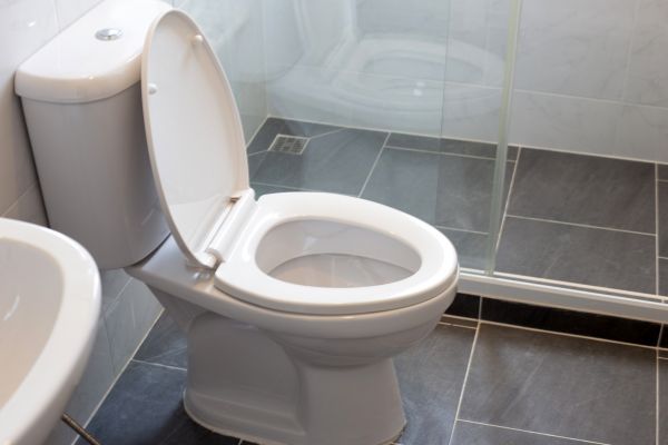 Cost of Toilet Replacement in Clearwater