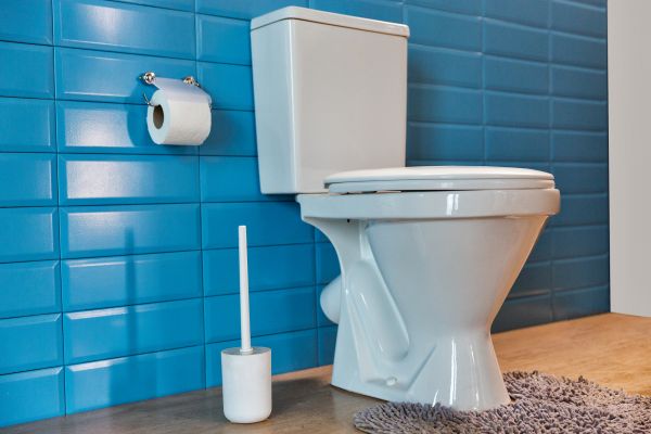 Cost of Toilet Tank Repair in Clearwater