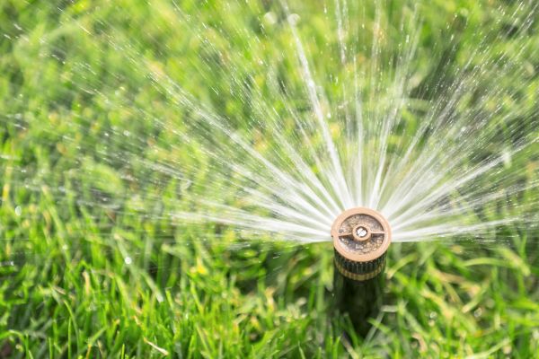 Cost of Spigot Installation in Clearwater
