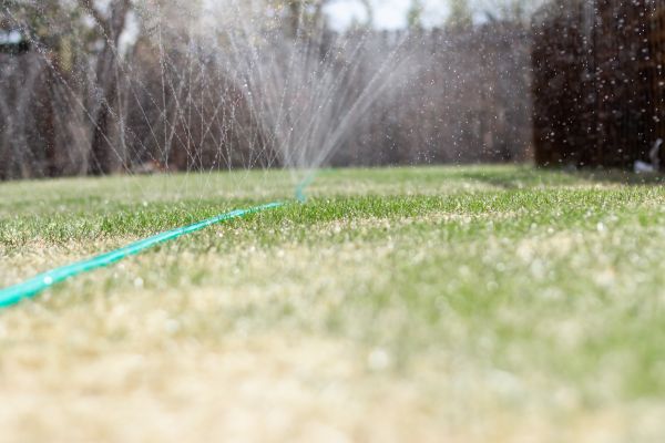 Cost of PVC Line Repair in Clearwater