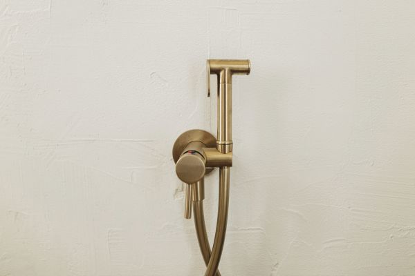 Cost of Bidet Plumbing in Clearwater