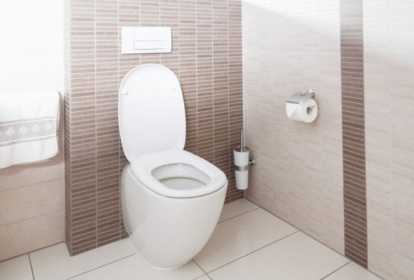 Cost of Toilet Plumbing Installation in Clearwater