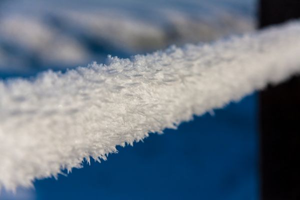 Cost of Frozen Pipe Service in Clearwater